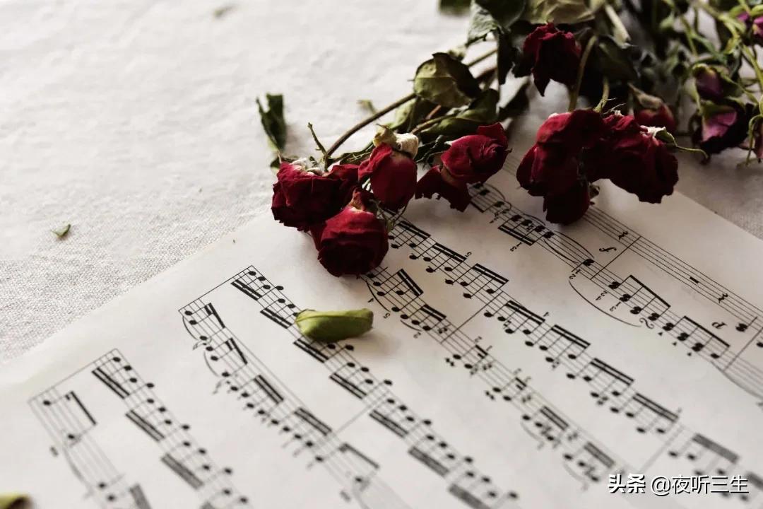 我的物流快递查询，指尖上的等待与安心