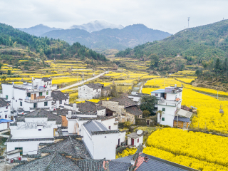 婺源的静默时光，当疫情按下风景的暂停键