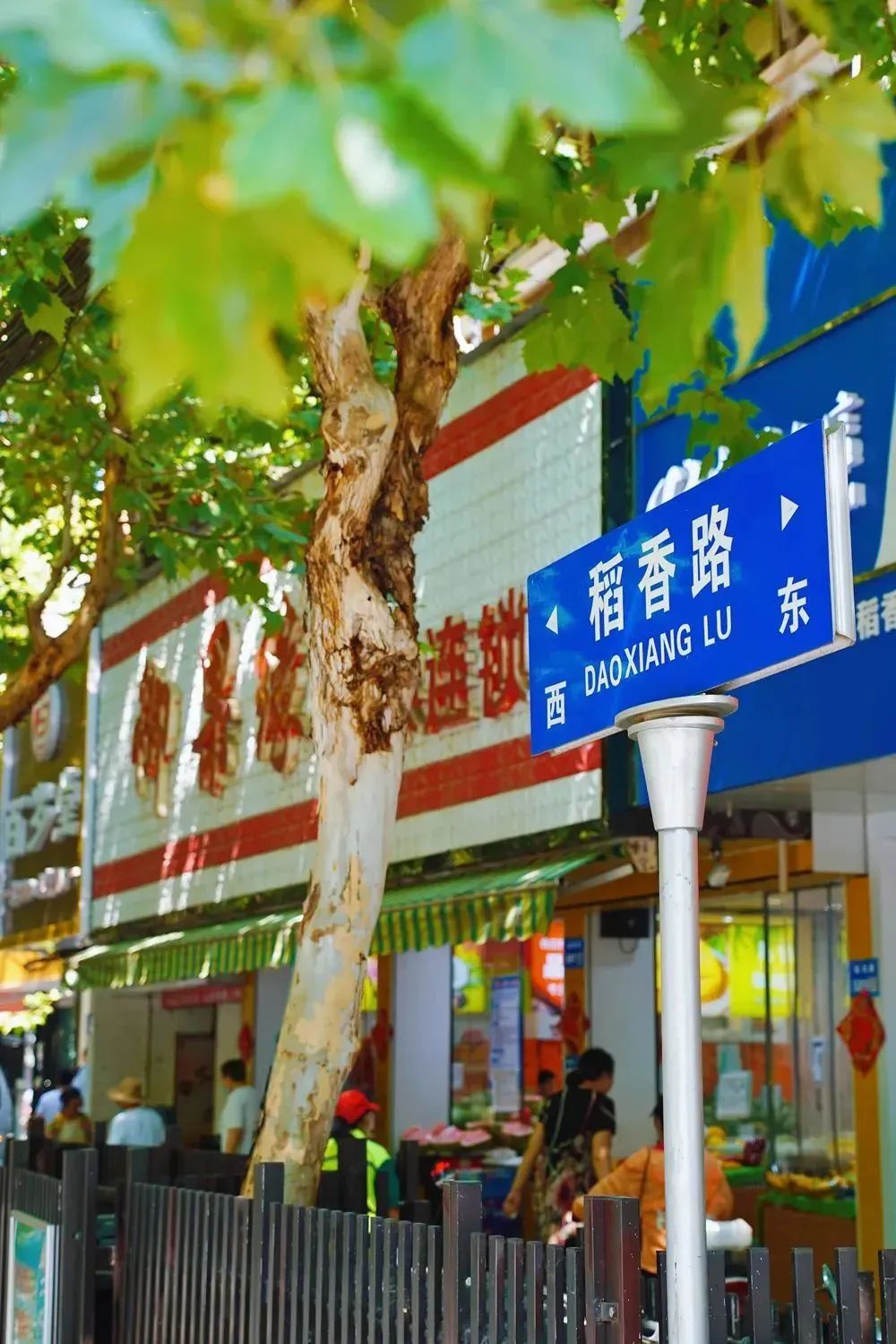 无锡611路，穿行于城市烟火间的流动画卷