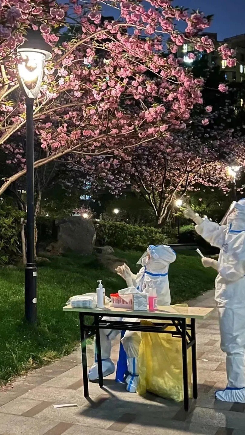 新疆疫情解封最新动态，全面恢复在即，民众期待正常生活回归