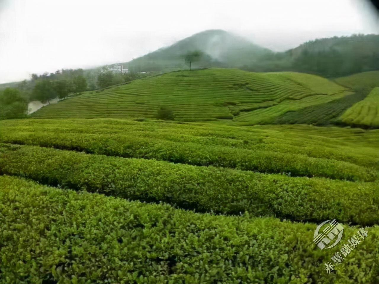 宜配网，解码中国专业汽车配件目录，赋能汽后市场精准服务