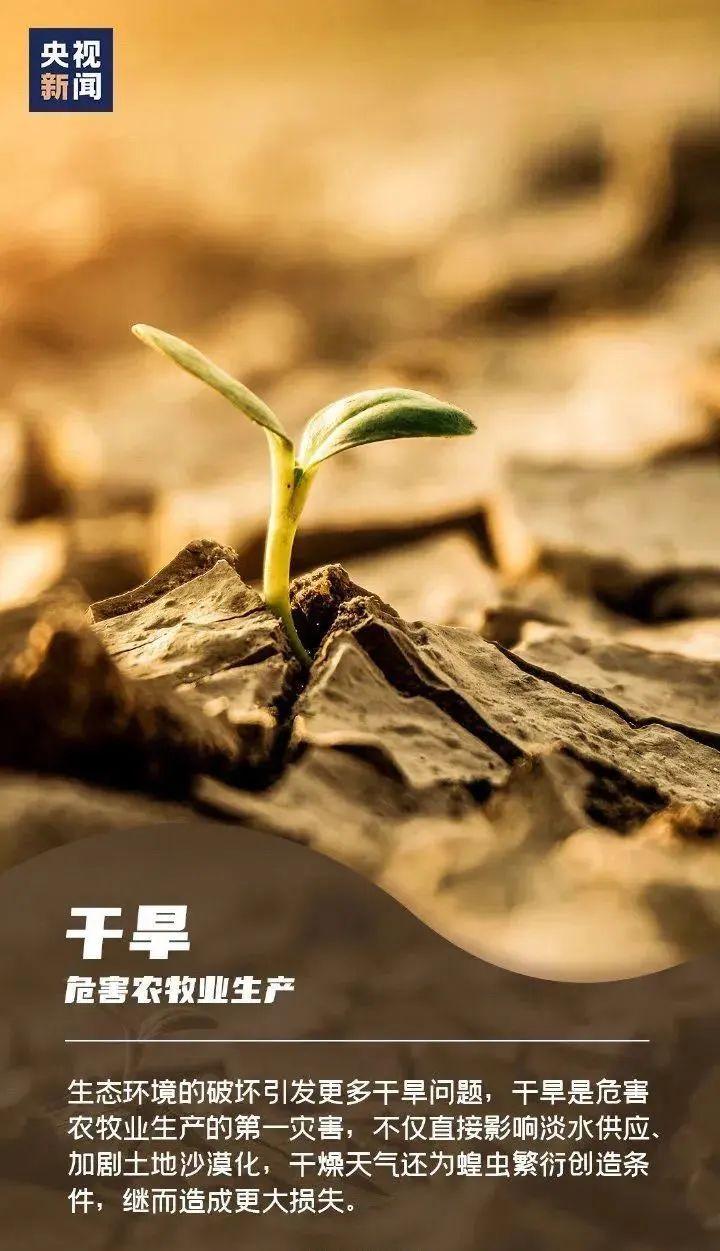 4月22号是啥日子？不止是地球日，还有这些意义值得了解