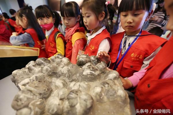 4月22号是啥日子？不止是地球日，还有这些意义值得了解