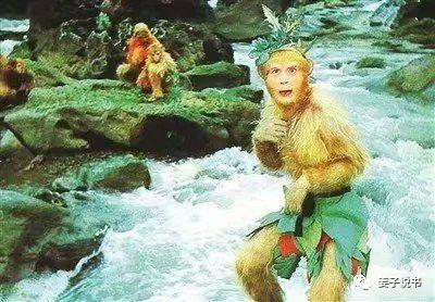 猴B病毒,美国实验室泄漏事件引发的全球生物安全警示 猴B病毒,美国实验室泄漏事件引发的全球生物安全警示