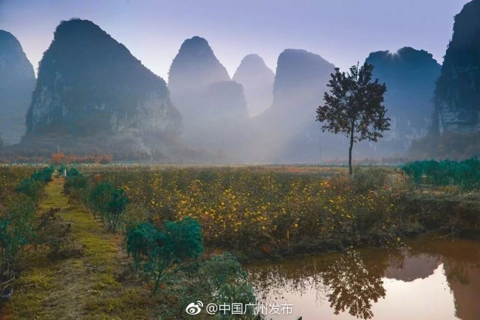 一位新冠密接者的广西之旅，在山水甲天下间与时空赛跑