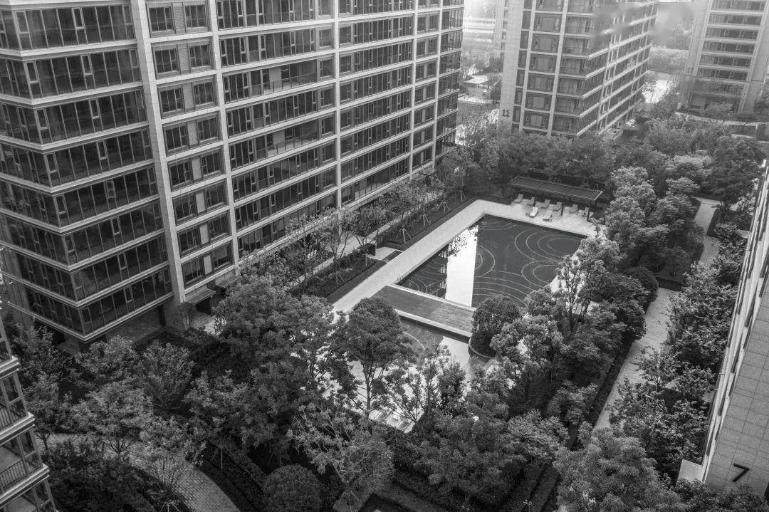 安徽合肥感染者，一座城的坚韧与温情