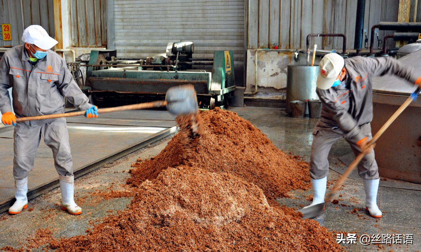 微光成炬，温暖前行—记我们的社区抗疫支援行动