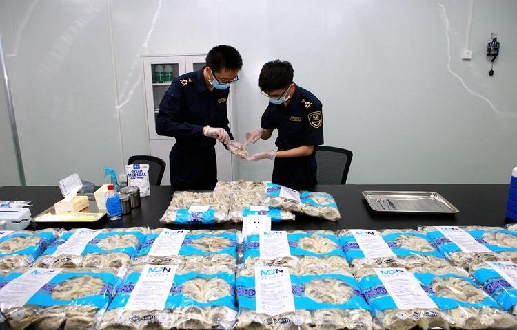 双城记，大连与北京疫情共同点背后的防控启示