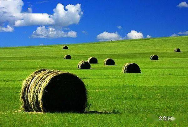 草原上的守护，内蒙古2021核酸检测纪实