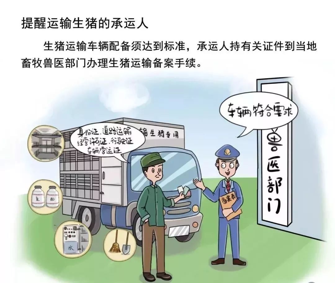 四川猪瘟疫情最新消息，当前形势可控，但防控仍不可松懈