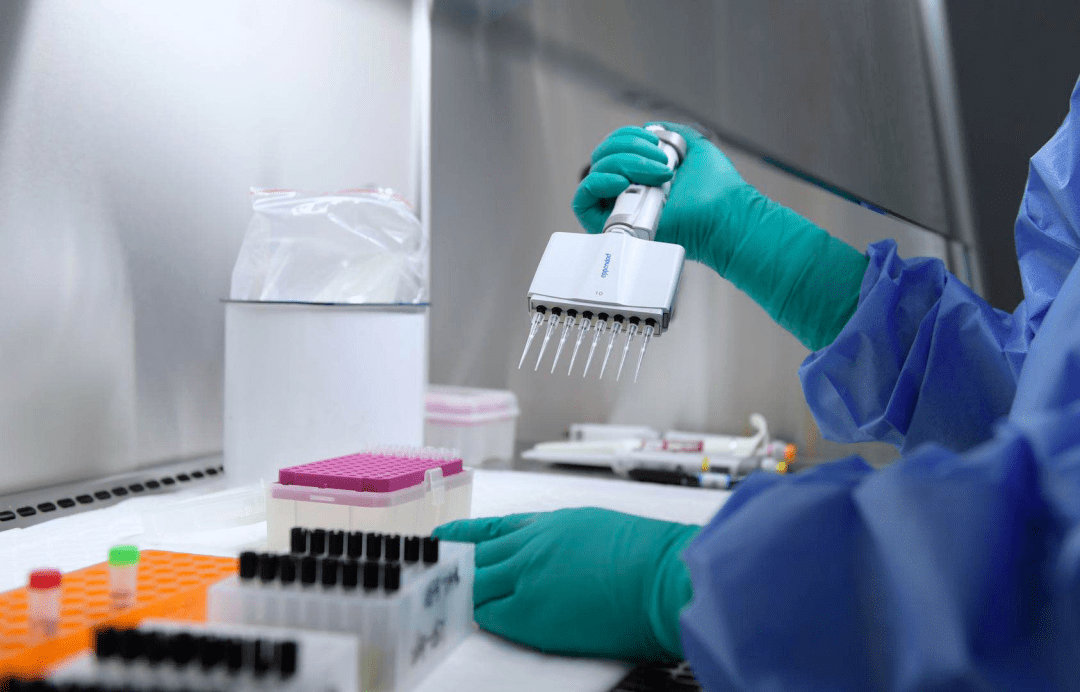 解码核酸检测，从采样到出结果，它是如何揪出病毒的？