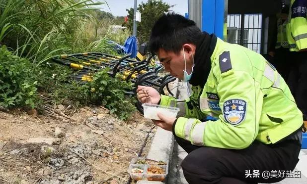 盐田区疫情防控最新通报,精准施策筑牢防线,社会面平稳有序 盐田区疫情防控最新通报,精准施策筑牢防线,社会面平稳有序