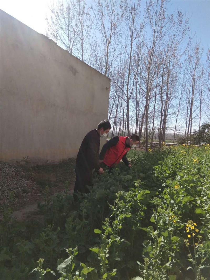 江苏连云港2020年疫情防控纪实，精准施策，筑牢安全防线