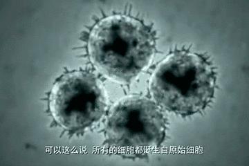 平行世界是什么意思的两个人