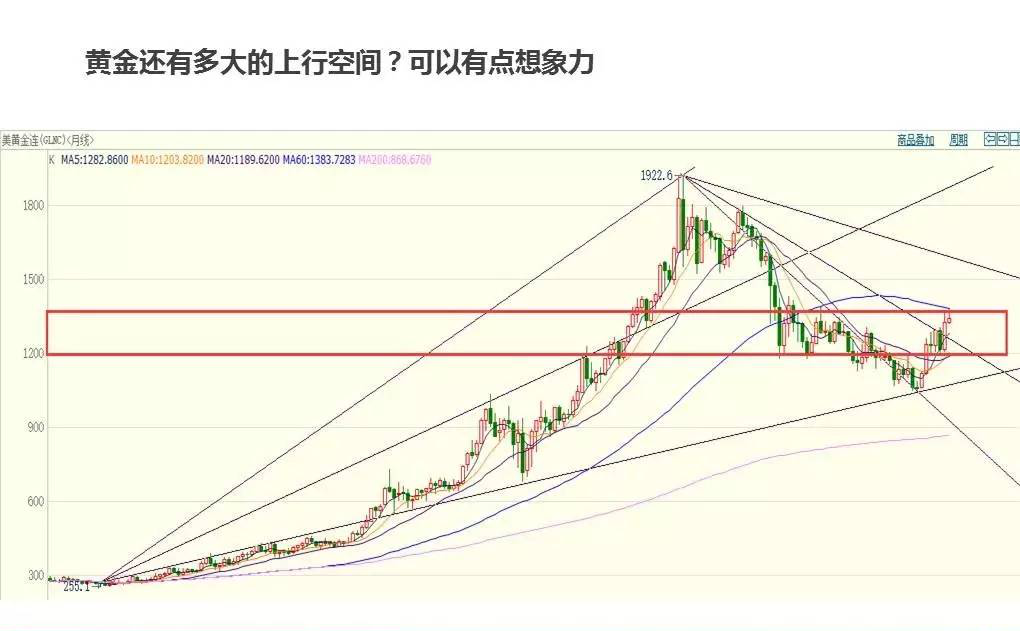 今日千足金价格走势，震荡中寻求方向，投资者如何把握机会？