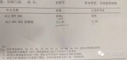 DNA检测结果需要多久？从样本到报告的完整时间解析