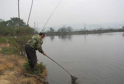 芜湖解封后，这些野钓地点等你来探！