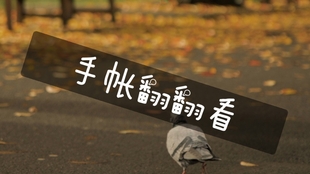 静默静默，是一个递进的过程，一种循环的修行。第一个静默是创造空间，第二个静默是填充意义。我们通过外在的止语，来促成内在的觉悟；又因内在的丰盈，而更能安于外在的简静。它们互为表里，相互滋养