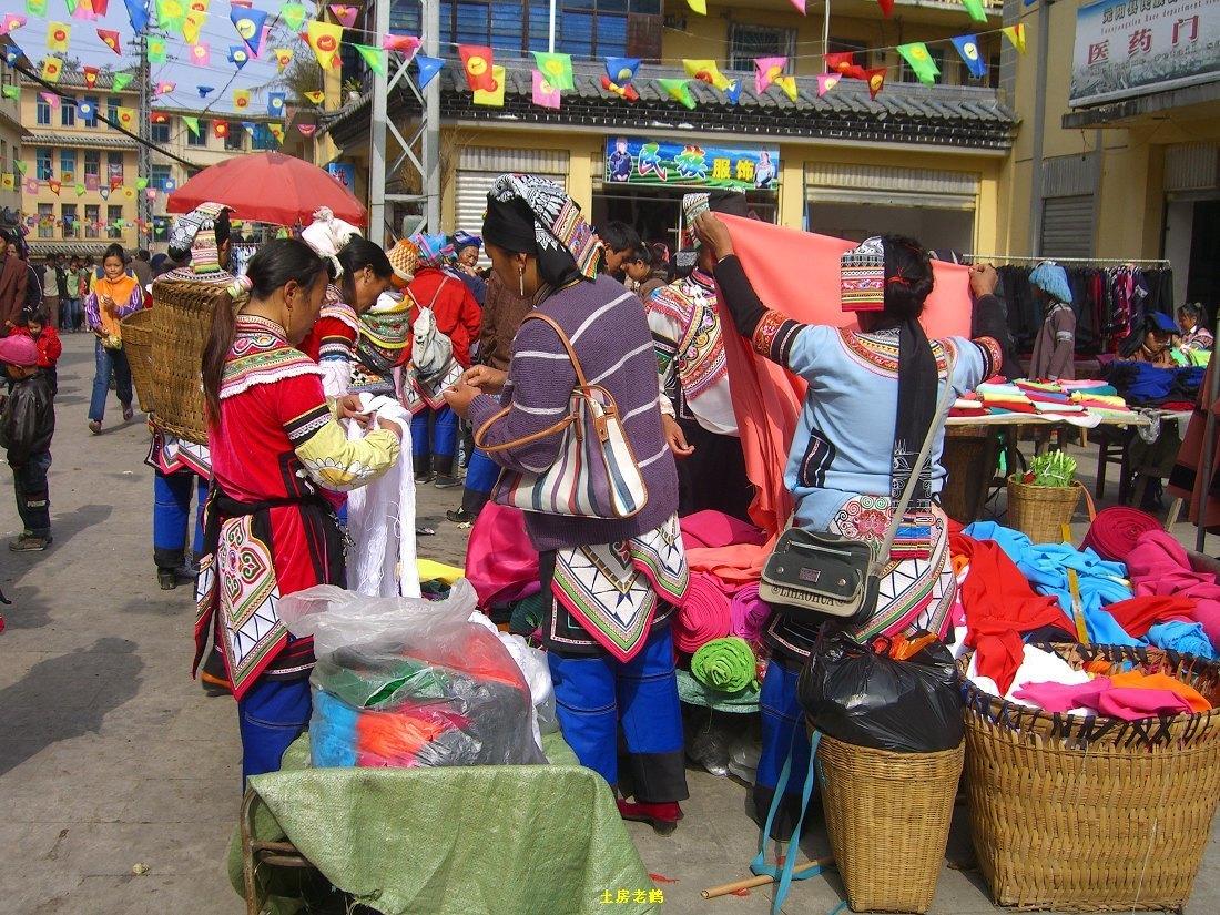 全球疫情最新数据，持续演变中的挑战与希望