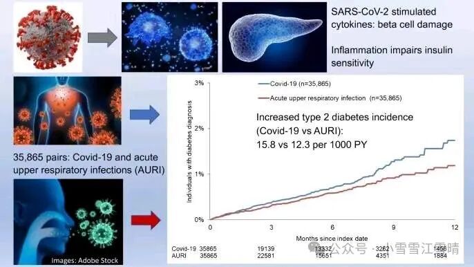 新冠会导致糖尿病吗？探索病毒与代谢疾病的潜在关联