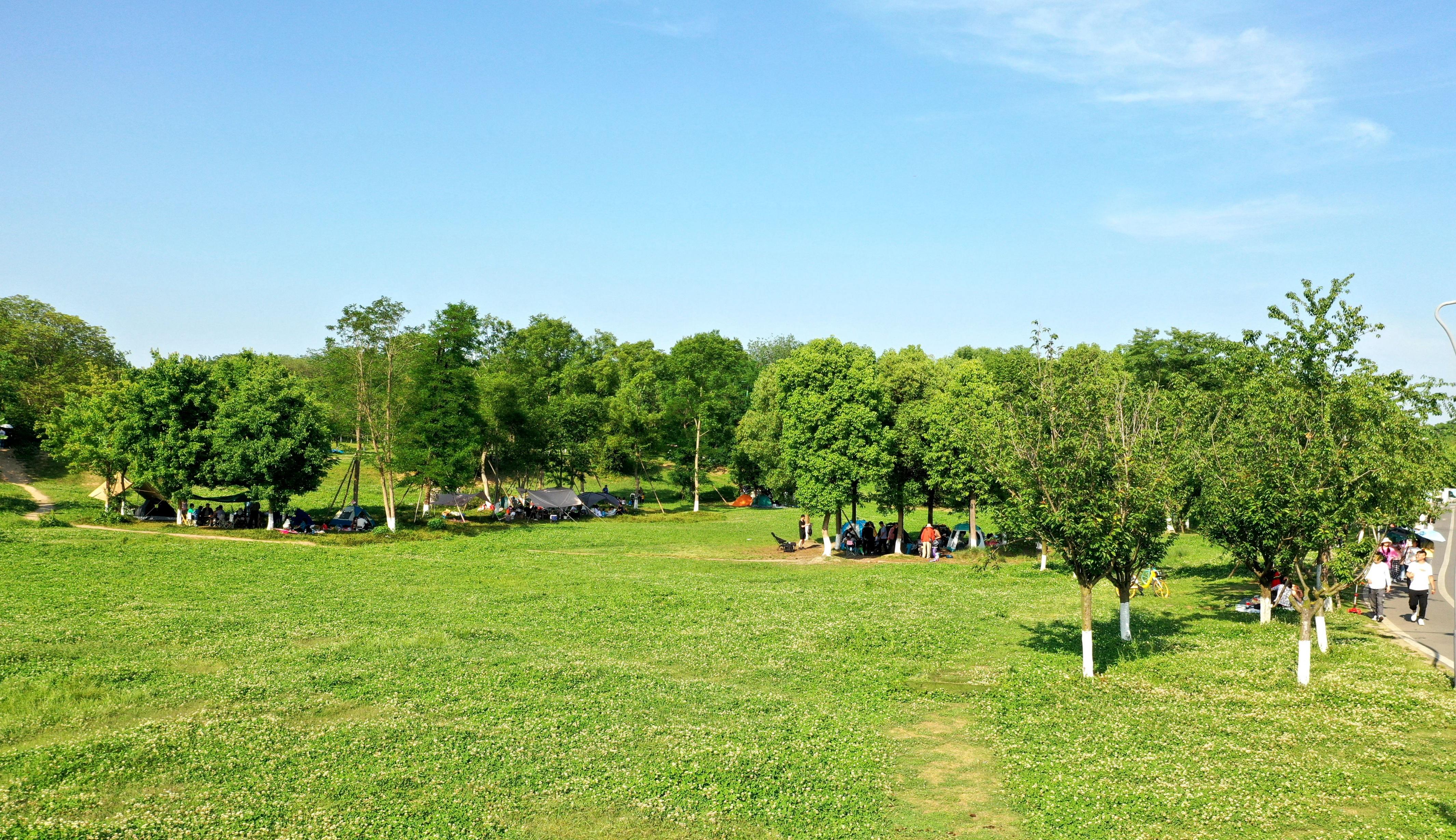 上海大众黑色SUV多少钱一辆?热门车型价格解析 上海大众黑色SUV多少钱一辆?热门车型价格解析