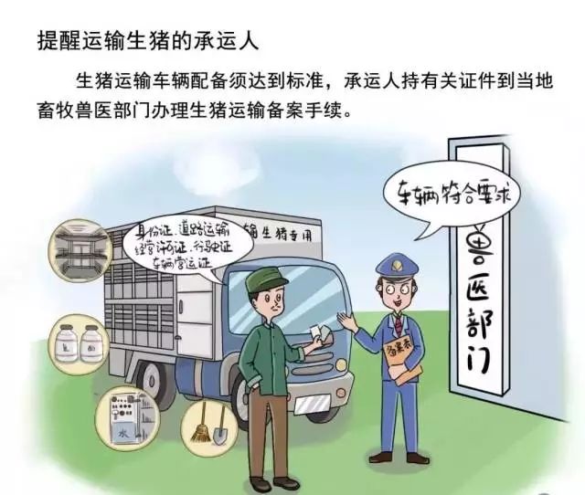 石家庄最新疫情政策，科学精准防控，保障市民健康安全