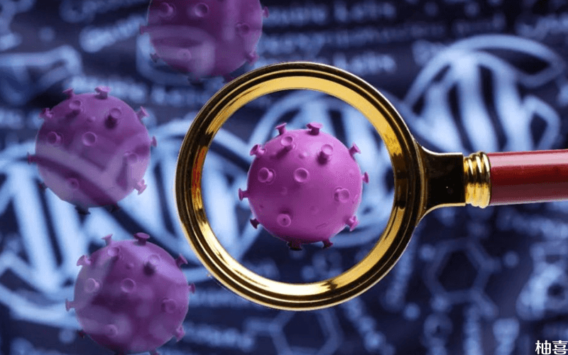 拉姆达变异毒株，命名背后的科学与全球抗疫考量