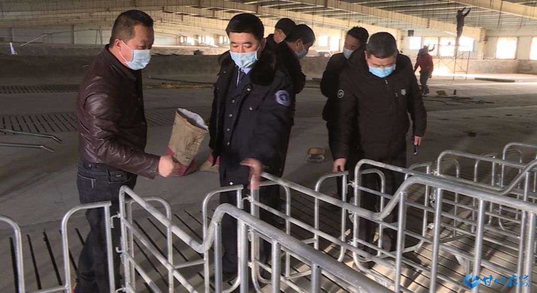 广东猪疫情最新动态，防控升级，市场供应总体稳定