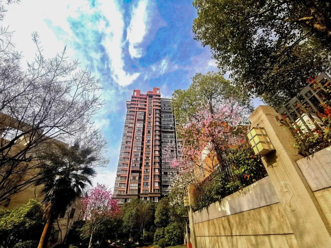 南京今日新增确诊病例，防控不松懈，同心筑防线