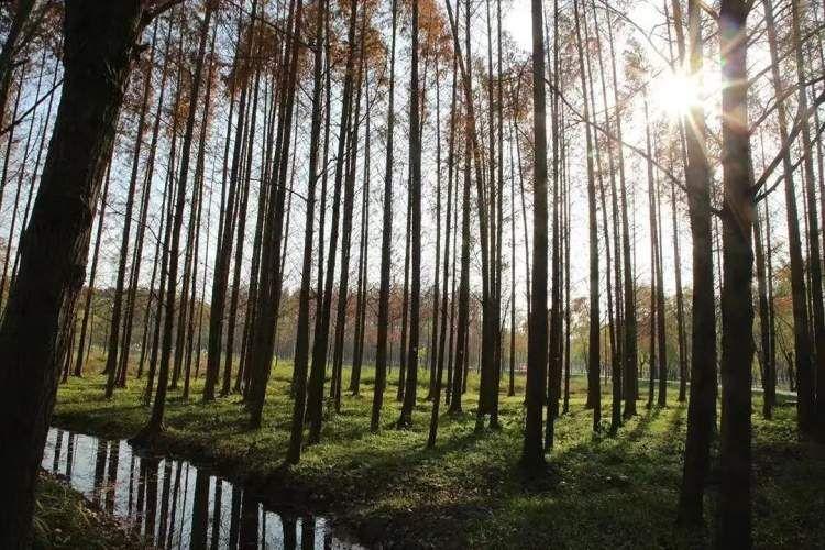 2023年五一时间，短暂休憩中的温暖与思考