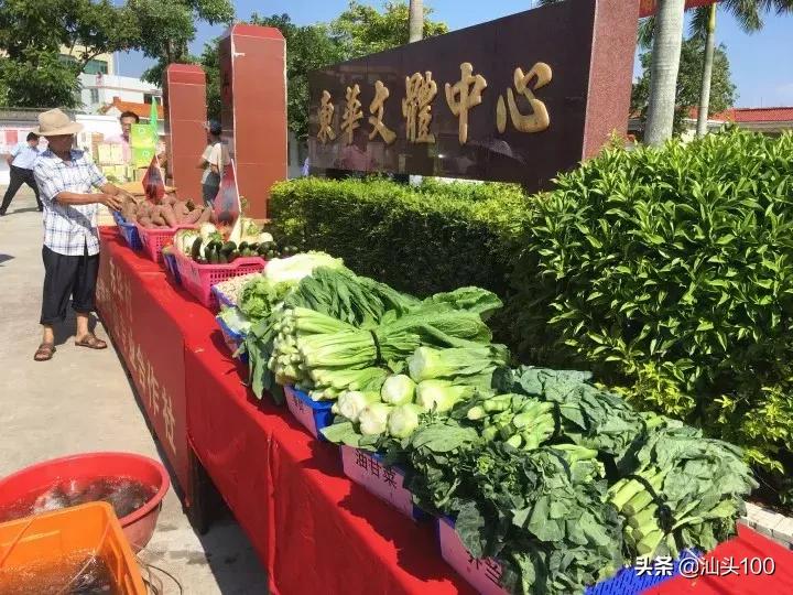 潮南区多措并举推进乡村振兴，特色产业激活发展新动能