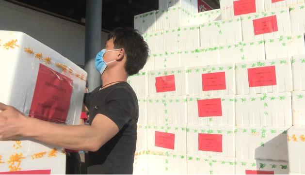 特殊时期的泸西记忆,一张照片背后的湖北人与小城温暖 特殊时期的泸西记忆,一张照片背后的湖北人与小城温暖