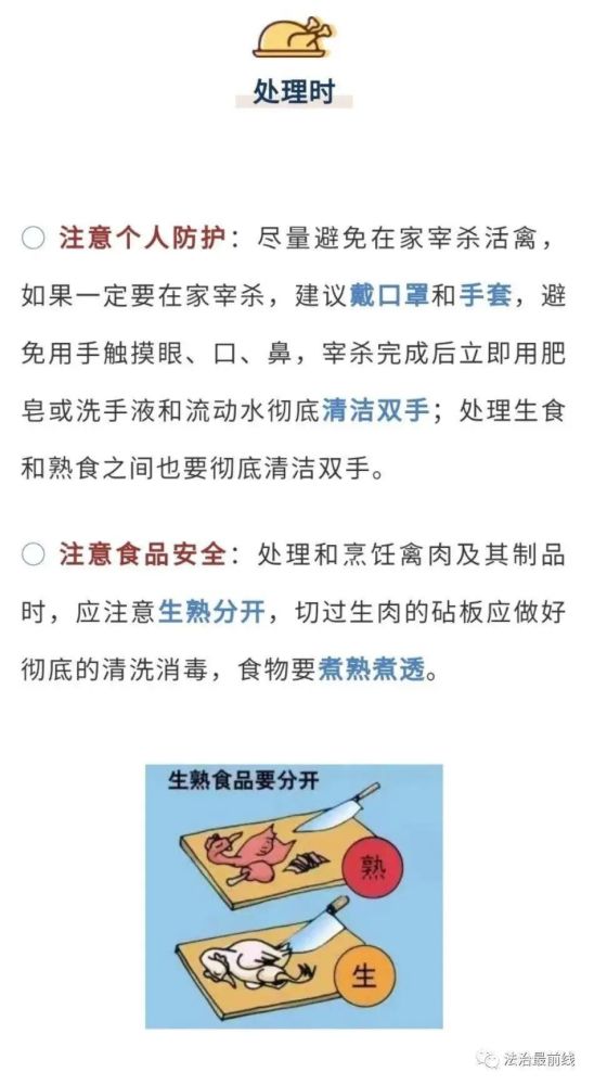 全球首例人感染禽流感，一场悄然而至的公共卫生警报