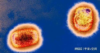 猴痘病毒中国有吗？是哪里发现的？