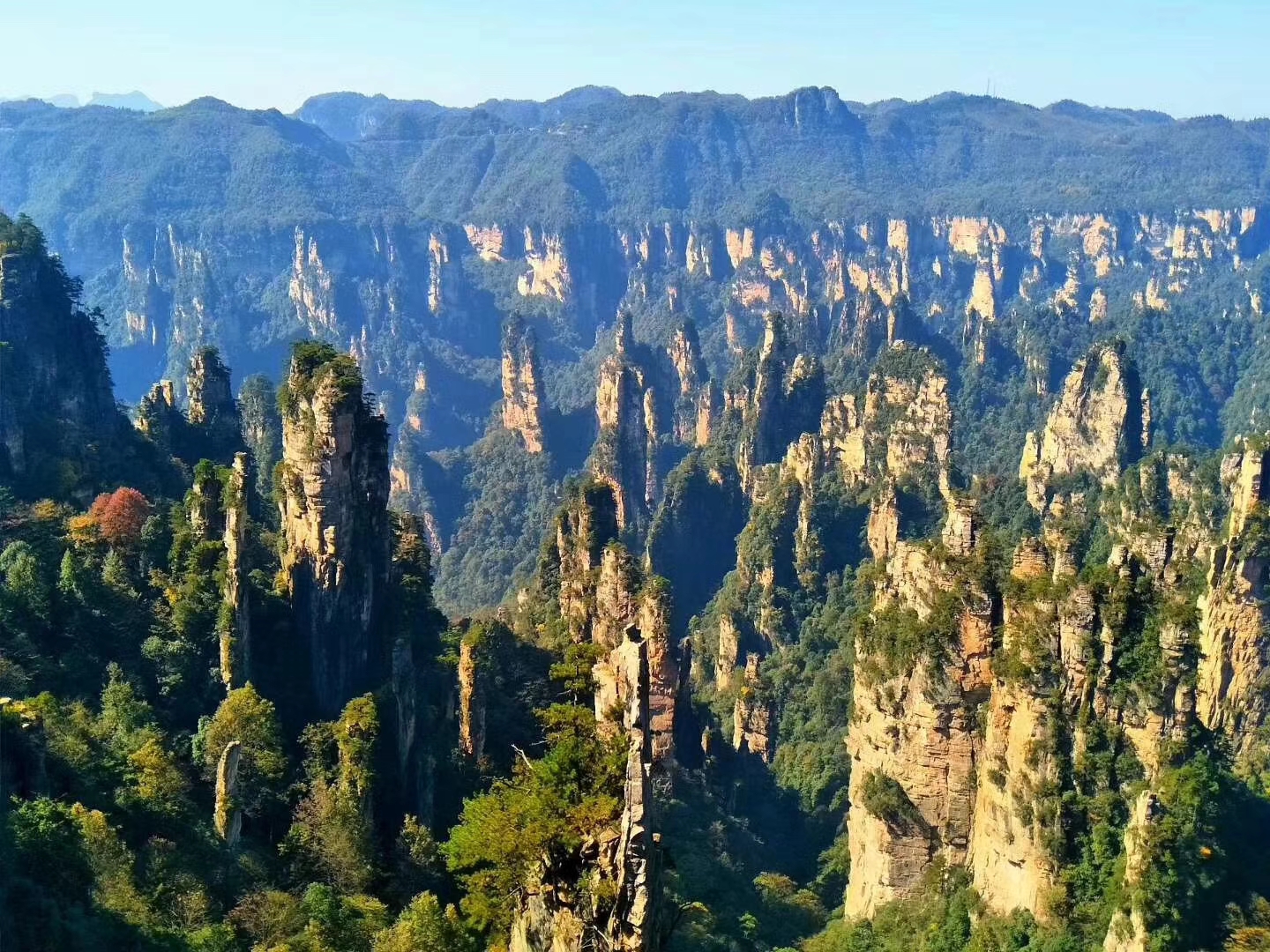 张家界景点开放了吗？最新开放情况及游览指南