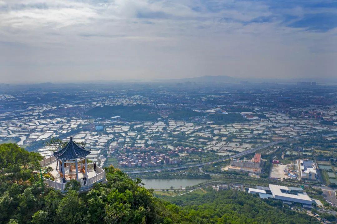 2025年9月29日新一轮尾号限行启动，城市交通治理的再升级