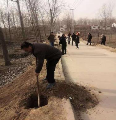 濮阳疫情最新情况通报，精准防控不松懈，筑牢健康安全线