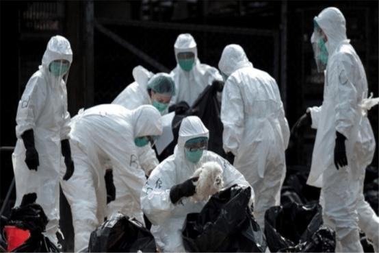 印度疫情的真实图景，数据背后的苦难与韧性