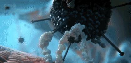 二次感染新冠病毒，风险、原因与防范策略