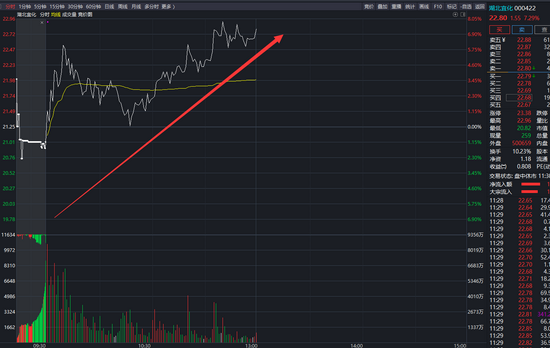 机构的选股逻辑，揭秘专业投资者如何挖掘长期价值