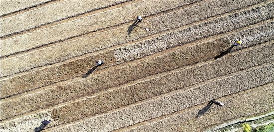 浙江最新疫情发布，科学精准防控，守护全民健康