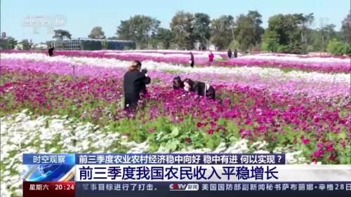 今日新闻联播，国内经济稳中向好 国际社会关注中国发展