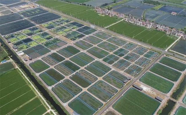 常州疫情最新通告，今日新增本土确诊病例X例，流调溯源与精准防控同步进行