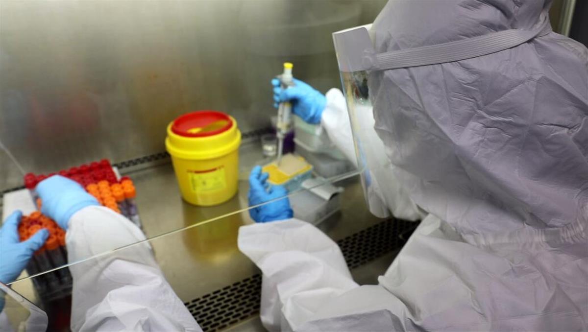 核酸检测24小时了还没有出报告，我该怎么办？