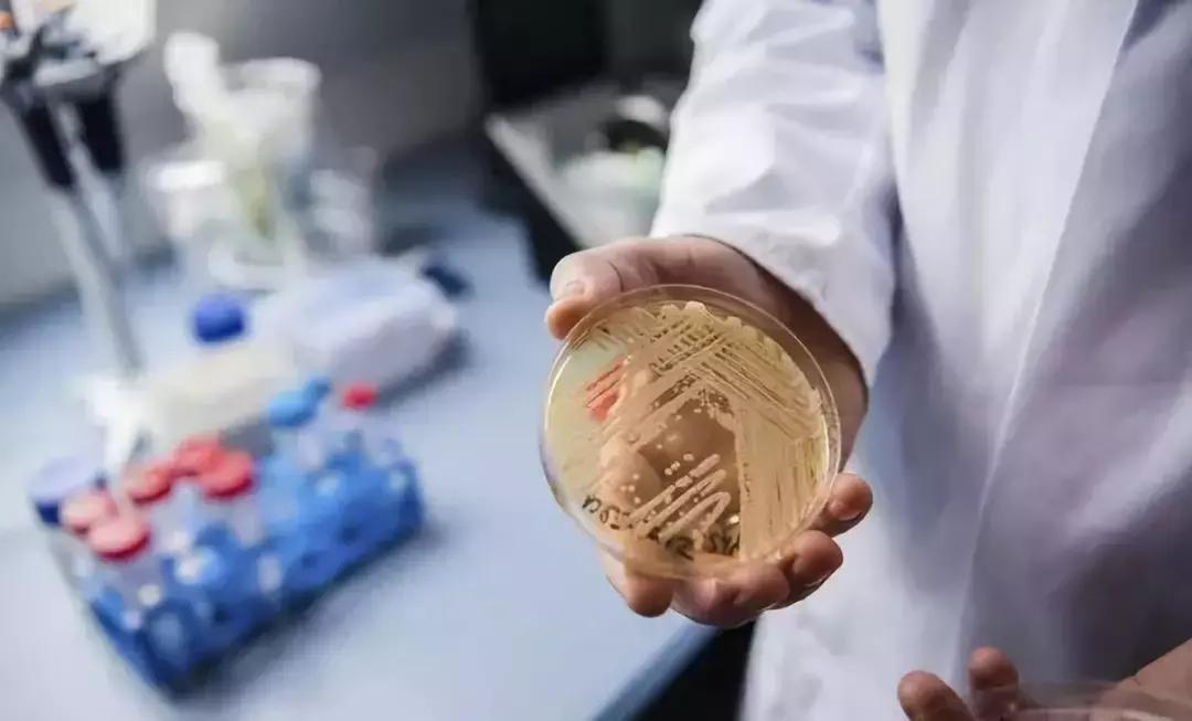 江苏疫情最新通报，8月4日新增本土确诊病例2例，防控措施持续优化