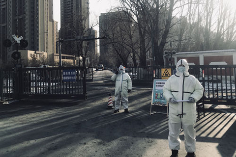 圆通快递查询单号在线查询，轻松掌握包裹动态的实用指南