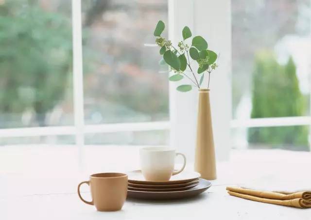 黄瓜远航记，从藤蔓到餐桌的环球之旅