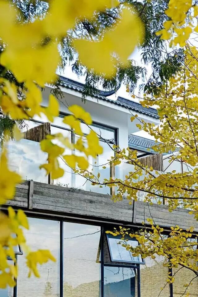 南山别墅慢时光，在云深不知处，寻一场山城旧梦