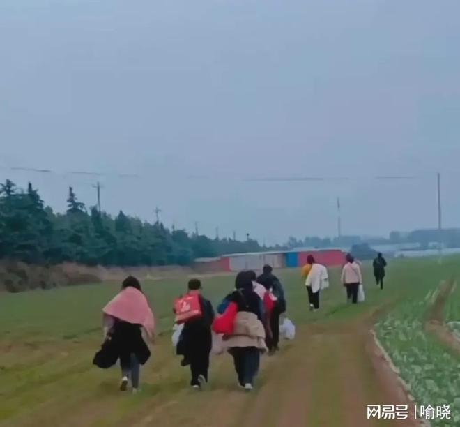 归途上的交响，富士康员工徒步返乡歌曲背后的坚韧与希望