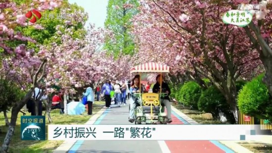 大朗镇，荔枝红与毛织城的交响曲